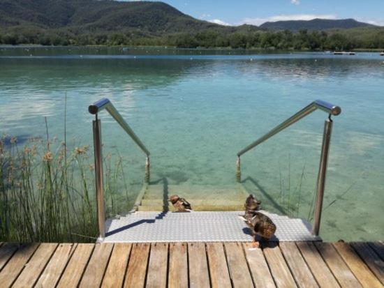 Camping Bungalow El Llac De Banyoles Porqueres Экстерьер фото