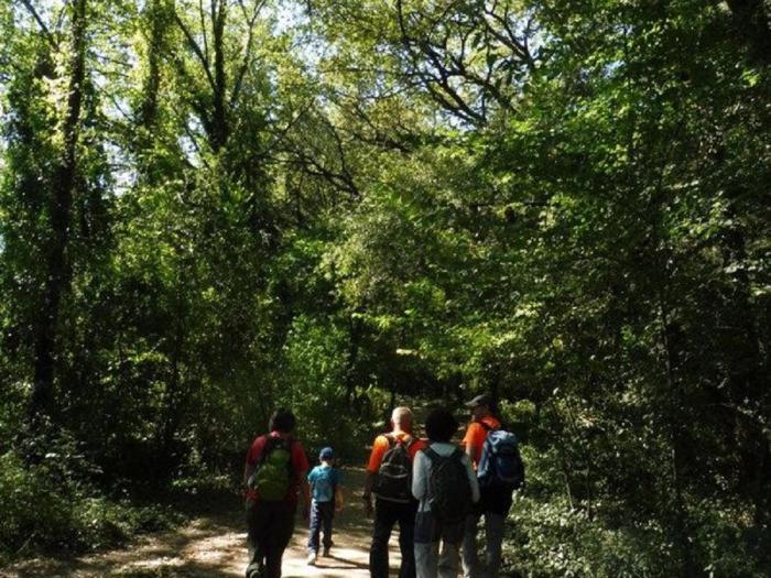 Camping Bungalow El Llac De Banyoles Porqueres Экстерьер фото