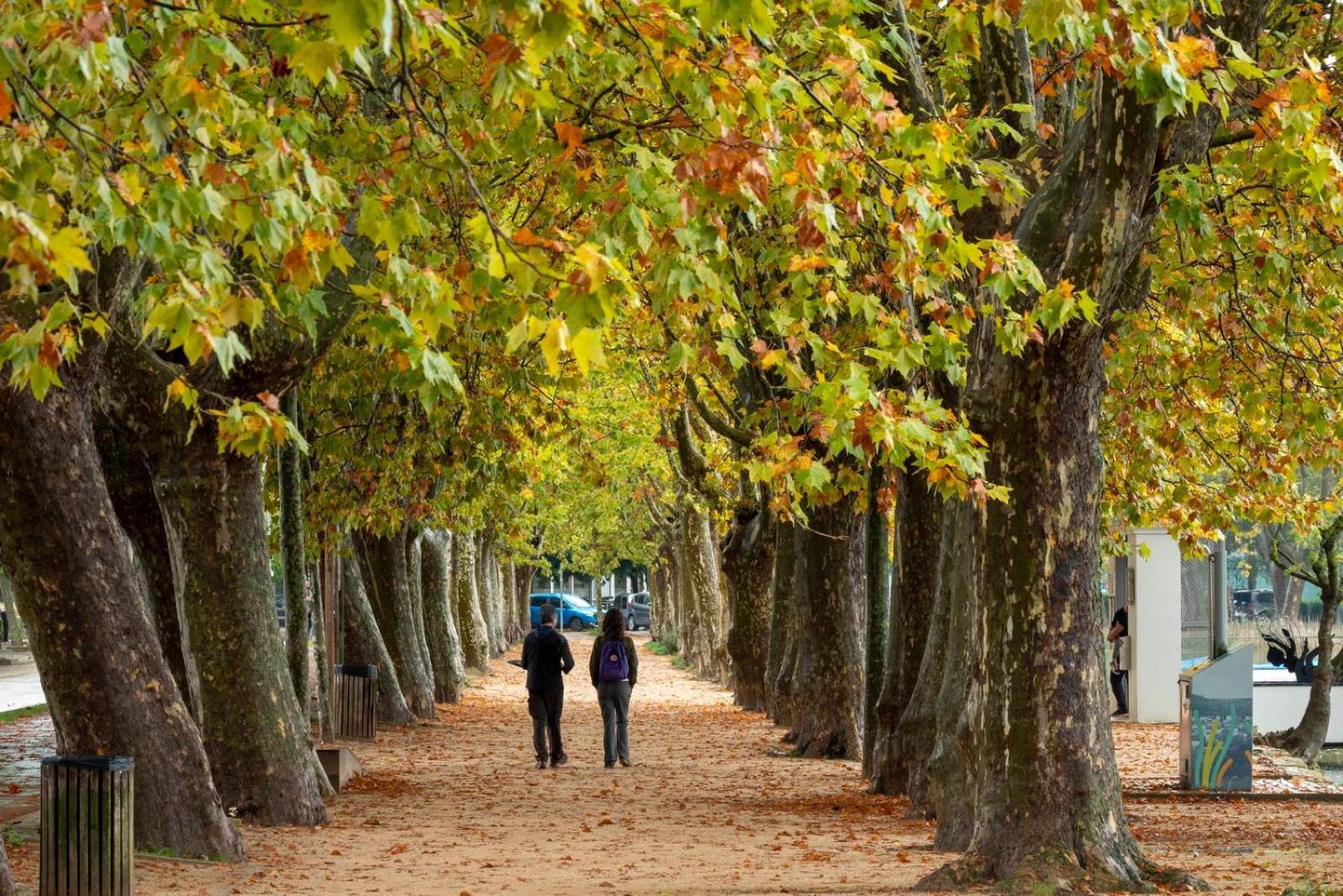 Camping Bungalow El Llac De Banyoles Porqueres Экстерьер фото